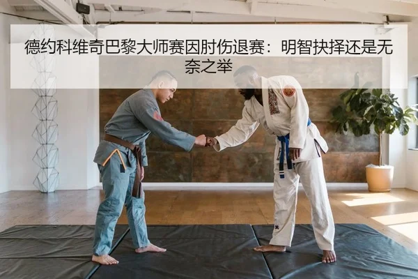 德约科维奇巴黎大师赛因肘伤退赛：明智抉择还是无奈之举
